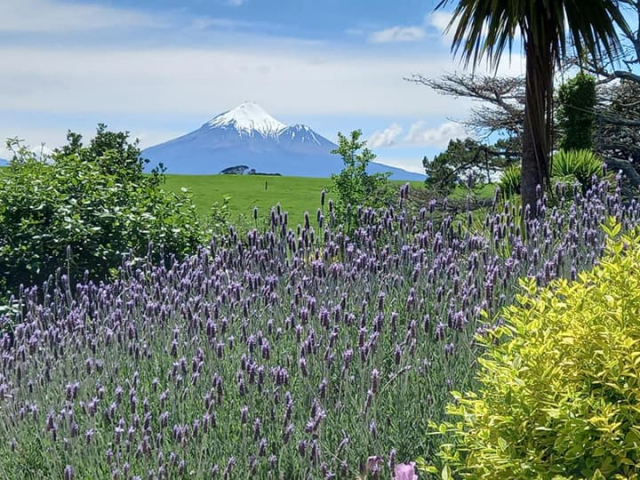 Taranaki Garden Run 2021 2