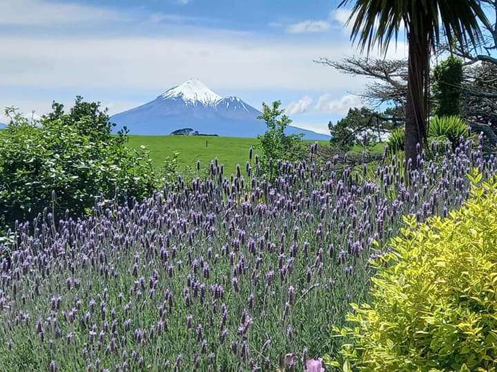 Taranaki Garden Run 2021 2