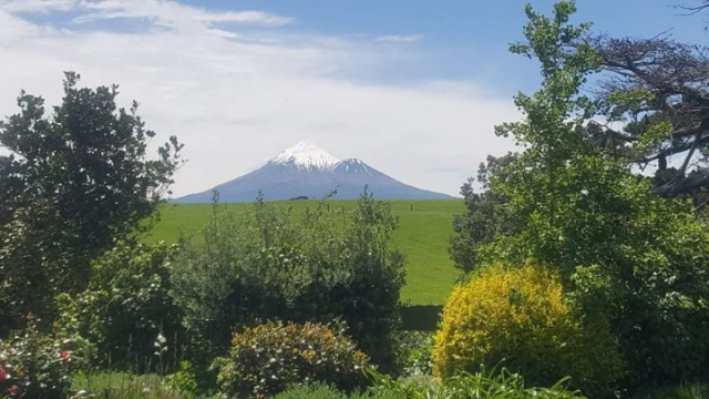 Taranaki Garden Run 2021 3