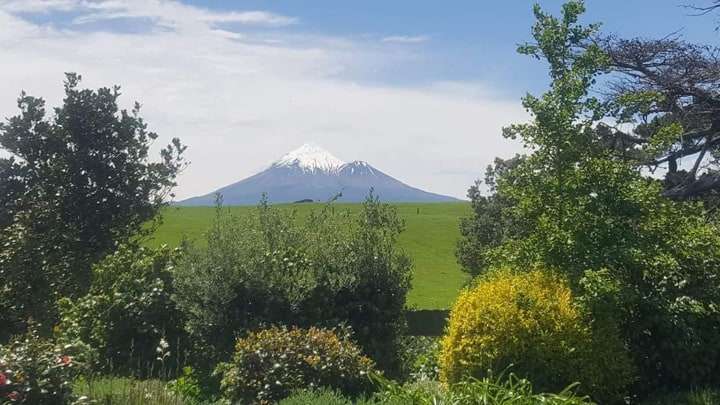 Taranaki Garden Run 2021 3